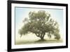 Oak & Blue Sky-William Guion-Framed Giclee Print