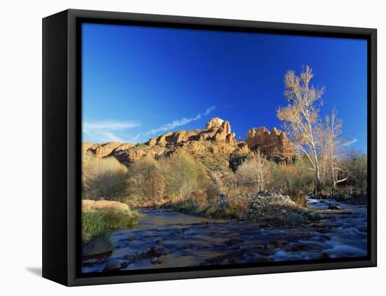 Oak Creek Running Before Cathedral Rocks, Red Rock Crossing, Sedona, Arizona, USA-David Welling-Framed Stretched Canvas