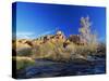 Oak Creek Running Before Cathedral Rocks, Red Rock Crossing, Sedona, Arizona, USA-David Welling-Stretched Canvas