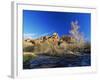 Oak Creek Running Before Cathedral Rocks, Red Rock Crossing, Sedona, Arizona, USA-David Welling-Framed Photographic Print