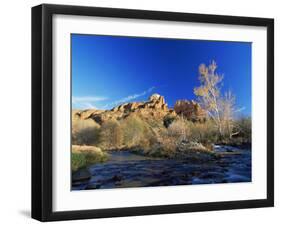 Oak Creek Running Before Cathedral Rocks, Red Rock Crossing, Sedona, Arizona, USA-David Welling-Framed Photographic Print