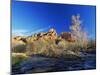 Oak Creek Running Before Cathedral Rocks, Red Rock Crossing, Sedona, Arizona, USA-David Welling-Mounted Photographic Print