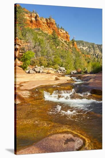 Oak Creek, Slide Rock State Park, Sedona, Arizona, Usa-Michel Hersen-Stretched Canvas