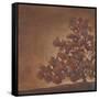 Oak Glen-Terri Burris-Framed Stretched Canvas