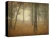 Oak Grove in Fog, Study 24-William Guion-Stretched Canvas
