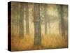 Oak Grove in Fog, Study 26-William Guion-Stretched Canvas