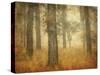 Oak Grove in Fog-William Guion-Stretched Canvas