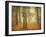 Oak Grove in Fog-William Guion-Framed Photographic Print