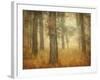 Oak Grove in Fog-William Guion-Framed Photographic Print