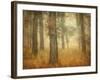 Oak Grove in Fog-William Guion-Framed Photographic Print