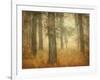 Oak Grove in Fog-William Guion-Framed Photographic Print