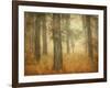 Oak Grove in Fog-William Guion-Framed Photographic Print