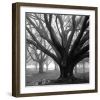 Oak Grove, Winter-William Guion-Framed Art Print