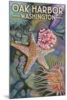 Oak Harbor, WA - Tidepool-Lantern Press-Mounted Art Print