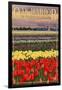 Oak Harbor, Washington - Tulip Fields-Lantern Press-Framed Art Print