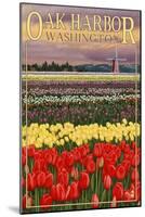 Oak Harbor, Washington - Tulip Fields-Lantern Press-Mounted Art Print