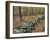 Oak-Hickory Forest in Litchfield Hills, Kent, Connecticut, USA-Jerry & Marcy Monkman-Framed Premium Photographic Print