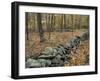 Oak-Hickory Forest in Litchfield Hills, Kent, Connecticut, USA-Jerry & Marcy Monkman-Framed Premium Photographic Print