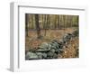 Oak-Hickory Forest in Litchfield Hills, Kent, Connecticut, USA-Jerry & Marcy Monkman-Framed Photographic Print