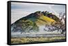 Oak Hills and Mist, Petaluma Backroads, Sonoma County-Vincent James-Framed Stretched Canvas