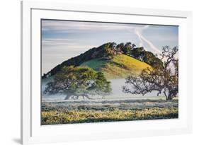 Oak Hills and Mist, Petaluma Backroads, Sonoma County-Vincent James-Framed Photographic Print