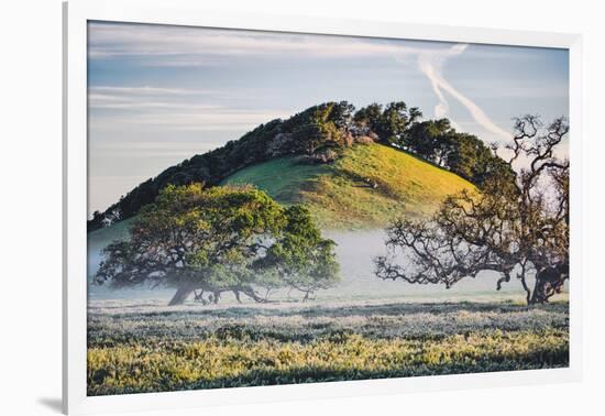 Oak Hills and Mist, Petaluma Backroads, Sonoma County-Vincent James-Framed Photographic Print