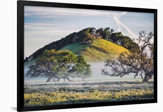 Oak Hills and Mist, Petaluma Backroads, Sonoma County-Vincent James-Framed Photographic Print