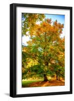 Oak in autumn-Philippe Sainte-Laudy-Framed Photographic Print