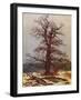 Oak in the Snow-Caspar David Friedrich-Framed Giclee Print