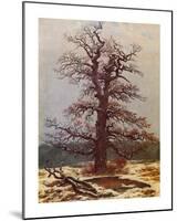 Oak in the Snow-Caspar David Friedrich-Mounted Giclee Print