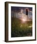 Oak Island II-Steve Hunziker-Framed Art Print