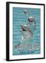 Oak Island, North Carolina - Dolphins Swimming-Lantern Press-Framed Art Print