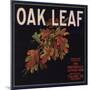 Oak Leaf Brand - Porterville, California - Citrus Crate Label-Lantern Press-Mounted Art Print