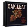 Oak Leaf Brand - Porterville, California - Citrus Crate Label-Lantern Press-Framed Stretched Canvas