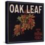 Oak Leaf Brand - Porterville, California - Citrus Crate Label-Lantern Press-Stretched Canvas