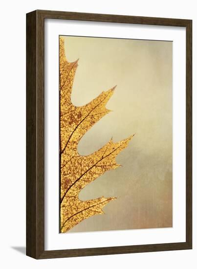 Oak Leaf II-Kathy Mahan-Framed Photographic Print