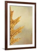 Oak Leaf II-Kathy Mahan-Framed Photographic Print