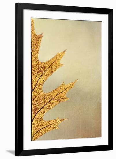 Oak Leaf II-Kathy Mahan-Framed Photographic Print