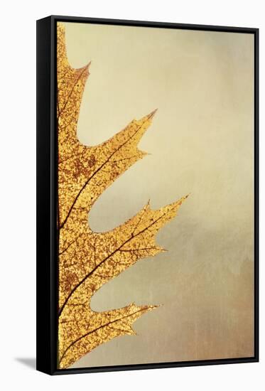 Oak Leaf II-Kathy Mahan-Framed Stretched Canvas