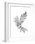 Oak Leaf Pencil Sketch I-Emma Caroline-Framed Art Print