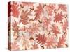 Oak Leaves and Acorns-Neela Pushparaj-Stretched Canvas