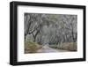 Oak lined lane and azaleas, Savannah, Georgia-Darrell Gulin-Framed Photographic Print