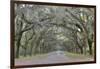 Oak lined lane, Savannah, Georgia-Darrell Gulin-Framed Photographic Print