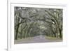 Oak lined lane, Savannah, Georgia-Darrell Gulin-Framed Premium Photographic Print