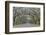 Oak lined lane, Savannah, Georgia-Darrell Gulin-Framed Photographic Print