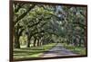 Oak lined road, Charleston, South Carolina-Darrell Gulin-Framed Photographic Print