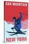 Oak Mountain - Speculator, New York - Colorblocked Skier-Lantern Press-Stretched Canvas