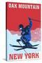 Oak Mountain - Speculator, New York - Colorblocked Skier-Lantern Press-Stretched Canvas