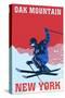 Oak Mountain - Speculator, New York - Colorblocked Skier-Lantern Press-Stretched Canvas