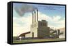 Oak Ridge Powerhouse, Tennessee-null-Framed Stretched Canvas